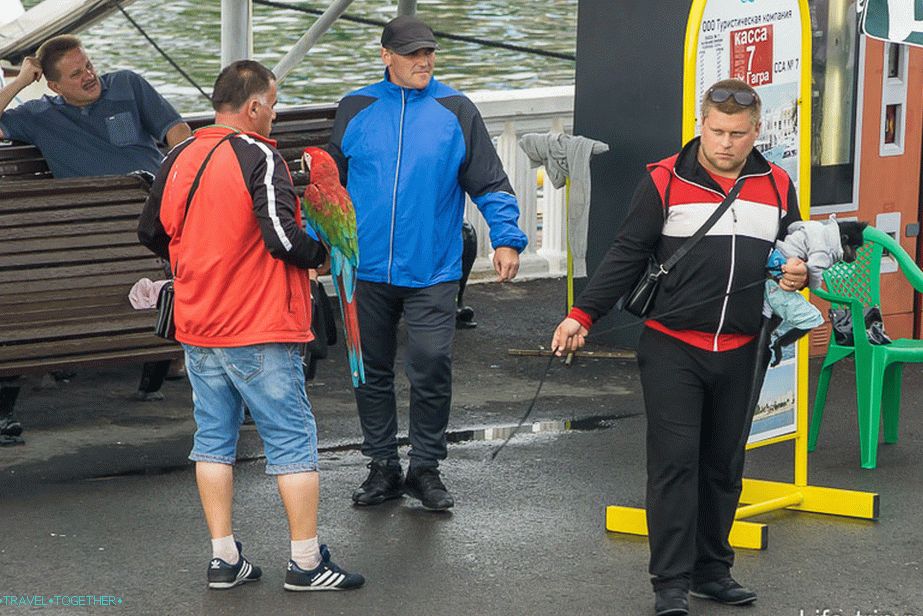 Sigurno rade ilegalno. Njihove kolege u obližnjem parku pokušali su me raspustiti zbog novca