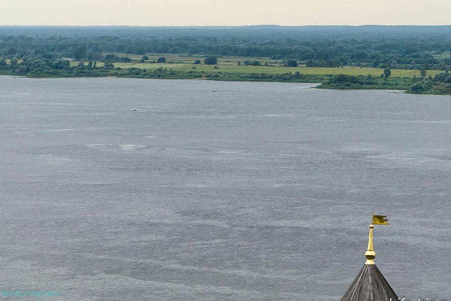 Volga i šume