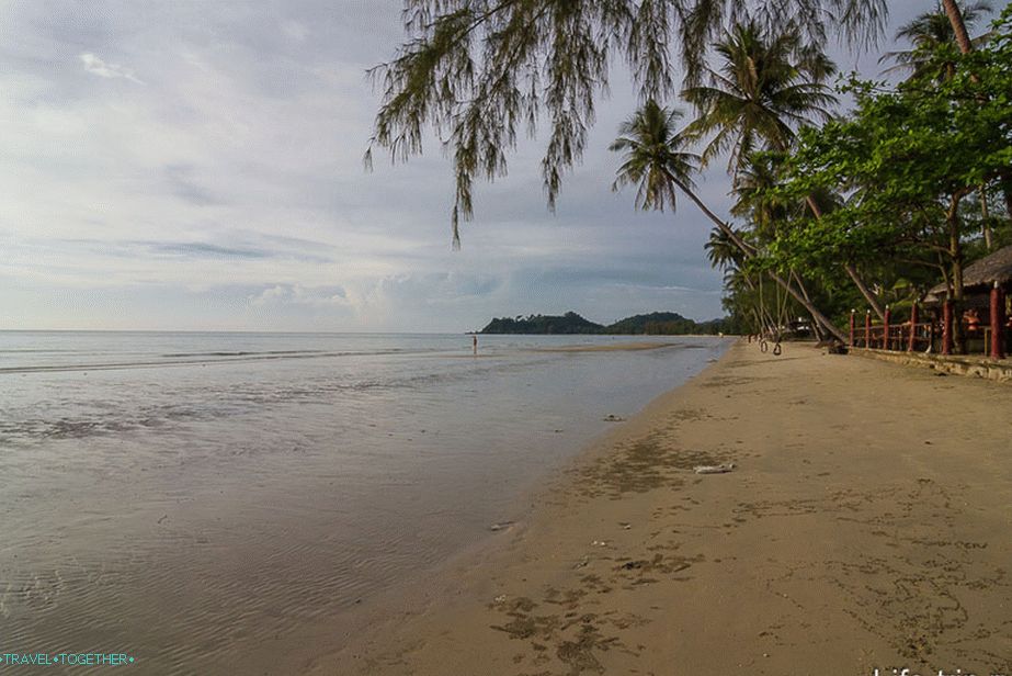 Klong Prao u području šume palmi