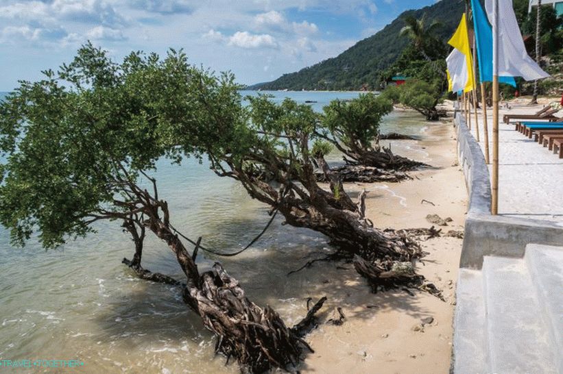 Haad Rin Nai Beach
