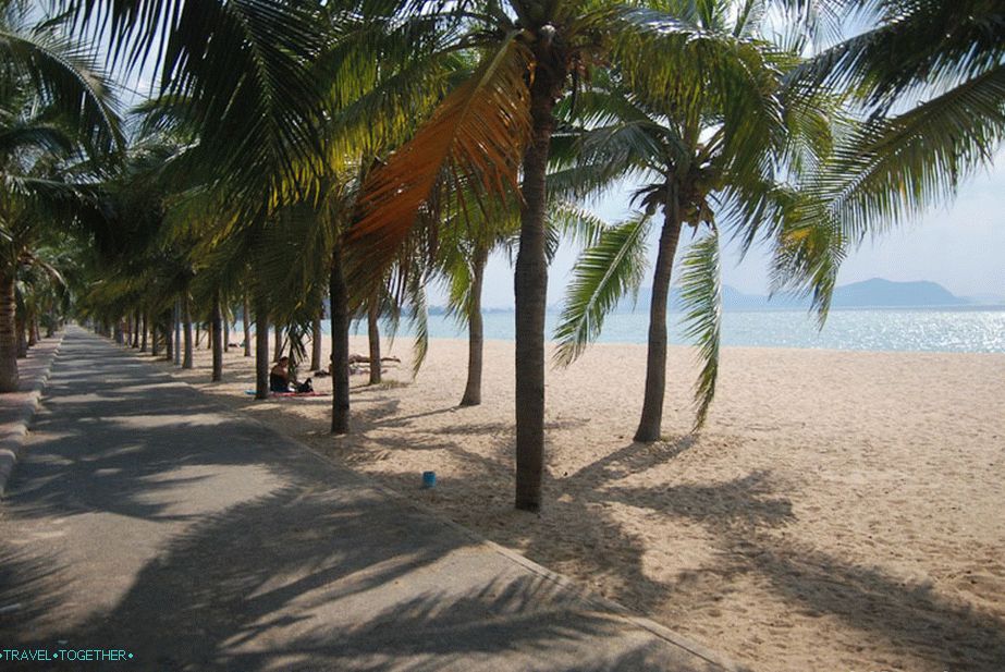 Palm aleja u središnjem dijelu plaže
