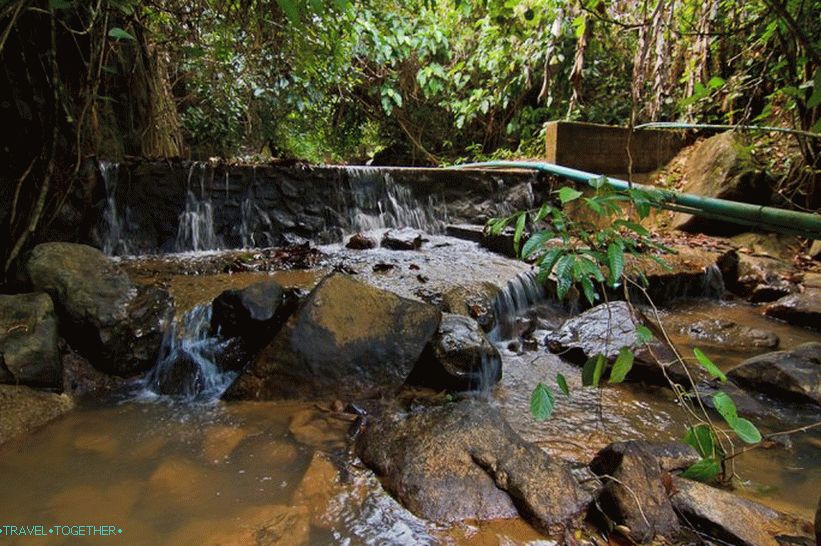 Plain mountain river