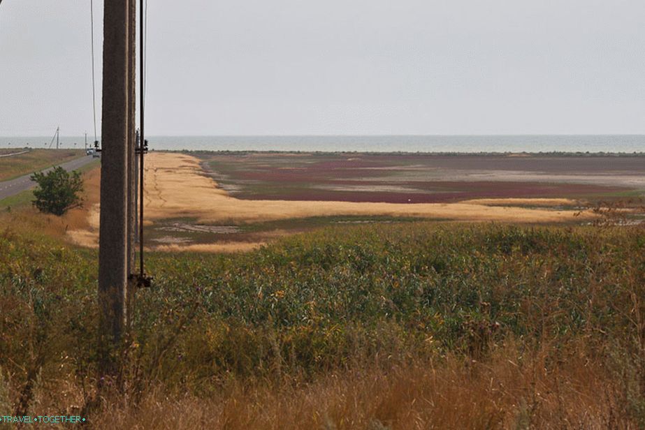 Pored Shilovke