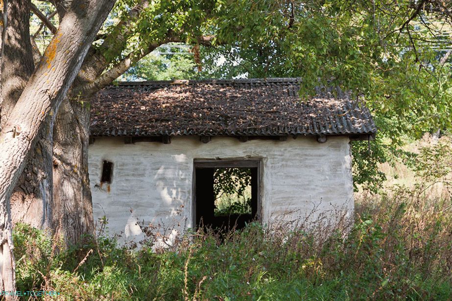 Kuća u sjeni stabla u blizini