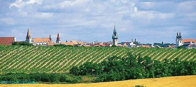 Znojmo Vinogradi