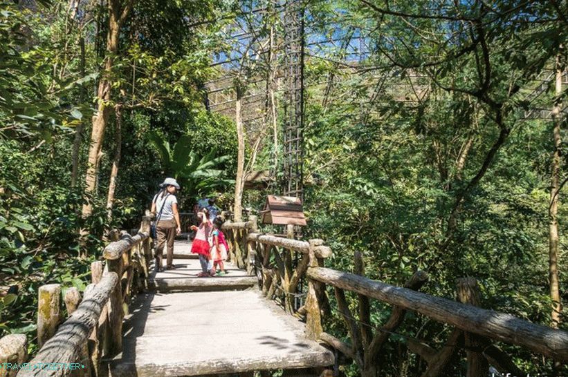 Zoološki vrt Khao Kheo u Pattayi - najbolji u Tajlandu