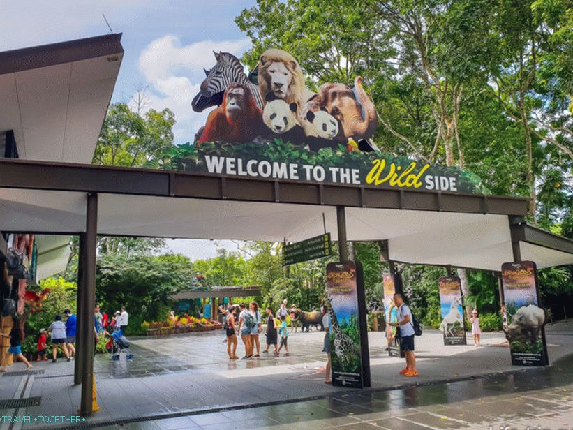 Zoološki vrt u Singapuru Manday