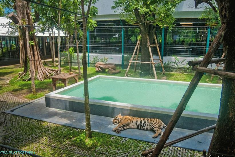 Zoološki vrt Pattaya Tiger - Egzotični Selfie s