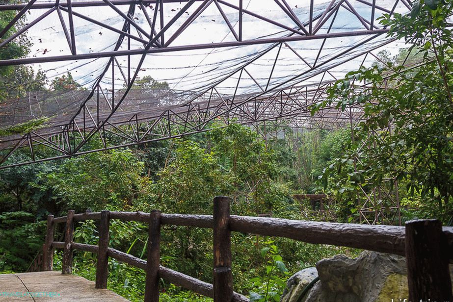 Aviary je veliki kavez