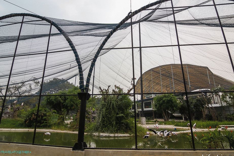 Paviljonska mreža za ptice, ali ne može biti
